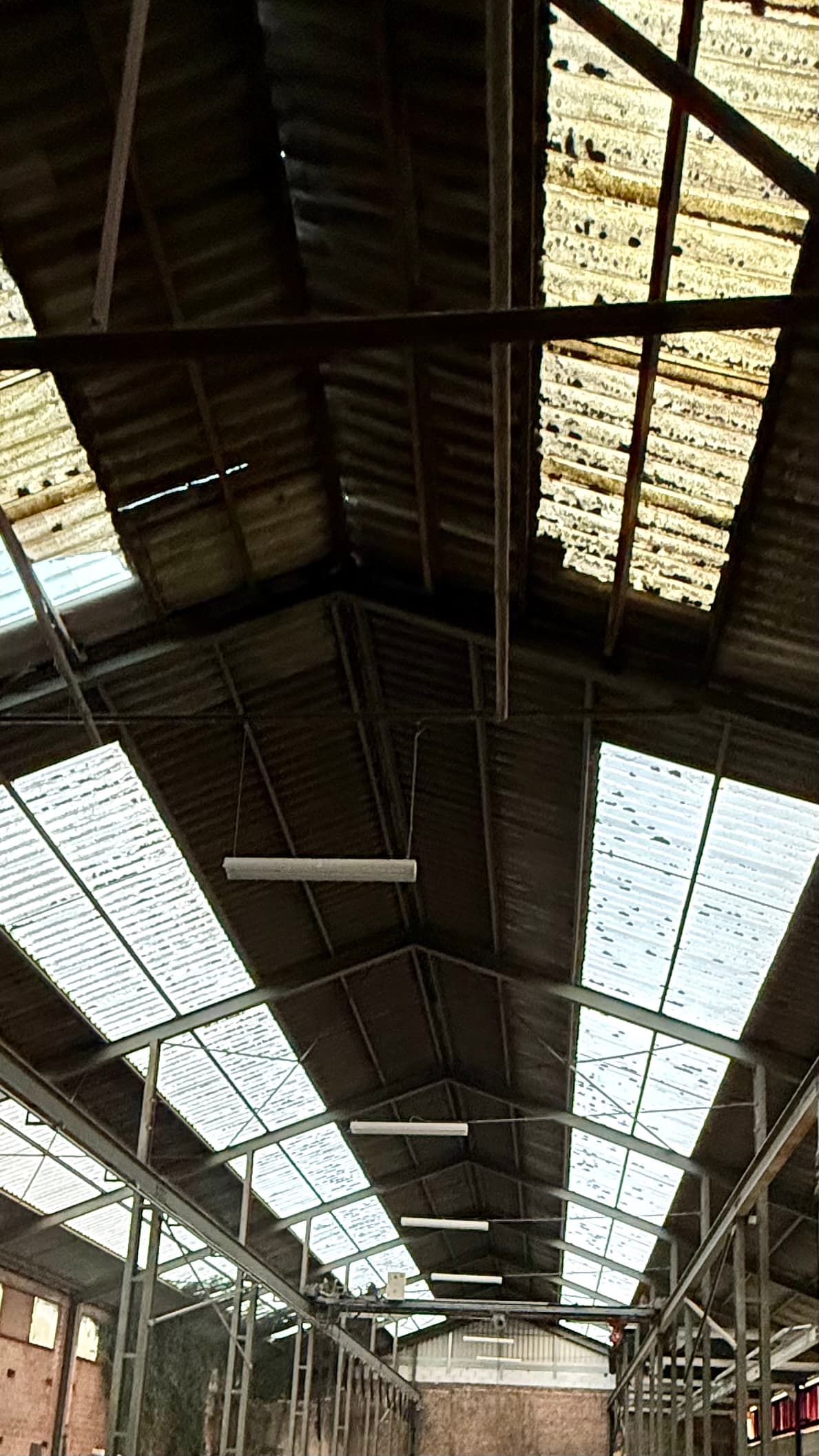 Skylights inside Flesjesfabriek Ghent